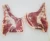 Import Frozen Fresh Halal Lamb Meat / Sheep Meat / Goat Meat from South Africa