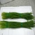 Import Frozen Vegetables IQF Foods Frozen Chinese chives from China