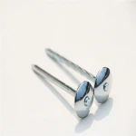 Galvanized Umbrella Head Roofing Nails