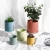 Import Garden Home Decoration Colorful Nordic Tea Wholesale Ceramic Flower Planter Plant Pots from China