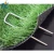 Import garden staples / u shaped turf nails / turf pins from China