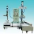 Import GCJ01-06-IBT Semi Automatic Weighing Packaging Machine from China