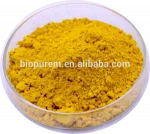 Ginger Extract,6-Gingerol,10:1,20:1