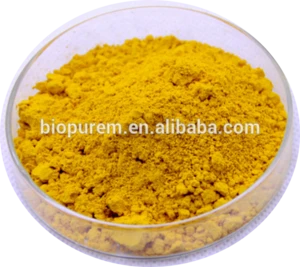 Ginger Extract,6-Gingerol,10:1,20:1