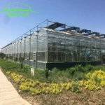 Glass green house frame