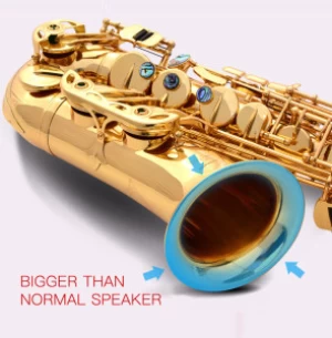 Gold Lacquer Brass Alto Eb  Instrument Accessories Professional  China Sax Saxophone Alto