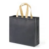 Good Price Promotion Tote Reusable PP Non Woven Bag Shopping Gift Bags