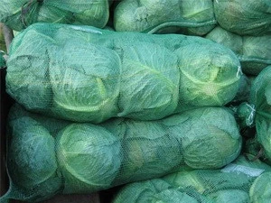 Good Quality Fresh Cabbages