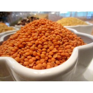 Good Quality Low Price Brown lentils / Red Lentils, Green Lentils, Yellow Lentils