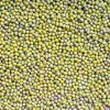 green lentils HPS quality dry green export/lentils