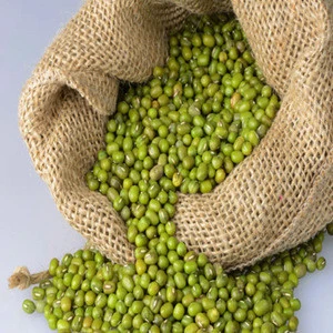Green Mung / Green Gram /Moong Dal / Vigna Beans