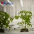 Import grow media rock wool  for hydroponics agriculture grow cubes grow slab from China