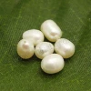 Half drilled freshwater loose pearl natural pearls for earring making
