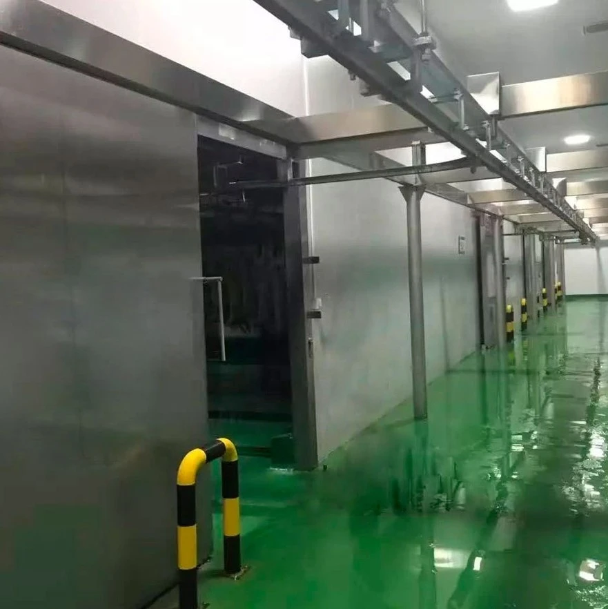 HENGER  freezer room cold room with bitzer compressor condensing unit in pakistan project