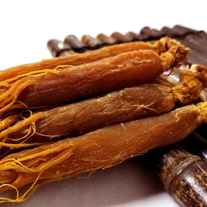 Herbal medicine organic quality red ginseng root