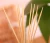 Import High quality disposable natural bamboo long toothpicks from China