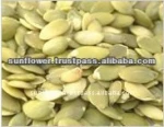 High Quality Dried Common Pumpkin Kernel for Sale