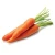 Import High quality Fresh Carrot price from Ukraine