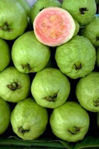 High quality Frozen Guava dice/puree/halves/whole for sales
