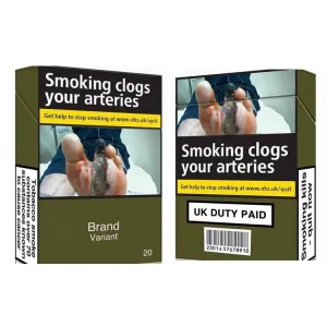 High Quality Paper Disposable Cigarette Box,Hot Sale Custom Cigarette Folding Paper Box,Blank Cigarette Packs