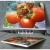 Import High quality printing advertising KT board from China