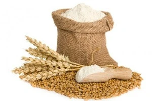 High Quality Wheat Flour Supplier