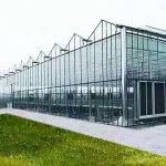 High-tech Greenhouses and Hydroponic Systems for Professional Growers green house