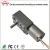 Import High Torque 6V 12V 24V motor controller brushless worm gear dc motor from China