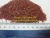 Import Himalayan Black Bath Salt / Cooking Salt / Edible Salt Granules / Chunks / Powder from Pakistan