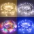 Import Holiday Outdoor Indoor Decoration 10M 220V 110V 100 LED String Lights for Christmas Xmas Wedding Party from China