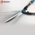 Import HOLSEN anvil pruning hedge shear loppers anvil sharp professional pruner garden tool set from China