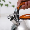 Home kitchen appliance 3L best tea kettle stainless steel