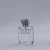 Import Hot New Products Glass Spray Perfume Bottles 50ml with Spray from China