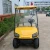 Import Hot Sale 2 person electric mini golf cart from China