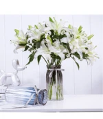 HOT SALE  Nordic style transparent crystal glass vase beautiful glass vase
