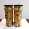 Hot Selling canned mixed mushroom with high quality