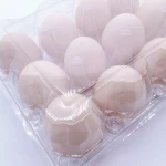 Hot Selling Cheap Price plastic duck egg tray