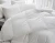 Import Hotel use luxury Down comforter 100% cotton from Taiwan