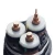 Import IEC502 LV MV Electrical Cable NYY N2XY NYCY Power Cable from China