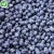 Import Import bulk berries  fruits prices frozen fresh blueberries iqf from China