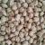 Import INDIAN HIGH QUALITY CHICK PEAS IN ALL SIZES BIG & SMALL FOR SALE from India