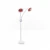 Import Infrared  therapy red light led light beauty equipment from China