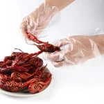 Kitchen Box-packed Disposable Gloves Catering Food Plastic Transparent Film PE Glove