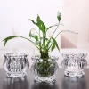 lantern shape crystal glass vase for water plant
