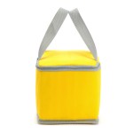 Large Insulated Thermal Meal Prep 15L Lunch Cooler Box Bag for Women