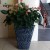 Import Large plastic pebble stone flower pot for garden decoration from China