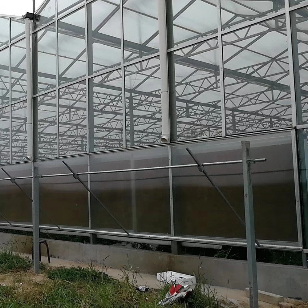 Large Venlo Type PC Sheet Agriculture Greenhouse with Intelligent Self-controlSystem