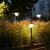 Import Latest garden lights solar powered waterproof garden light ip65 from China