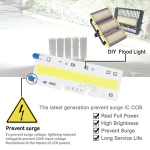 LED COB Light chip 30W 50W 70W 100W 150W LED Bulb Chip 220V Input Smart IC LED Driver for DIY LED Floodlight