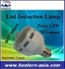 LED Induction lamp